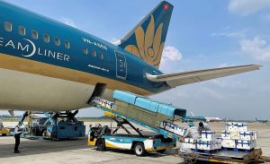 Dịch vụ booking tải hàng không từ sân bay Đà Nẵng đến sân bay quốc tế Narita ✈️📦