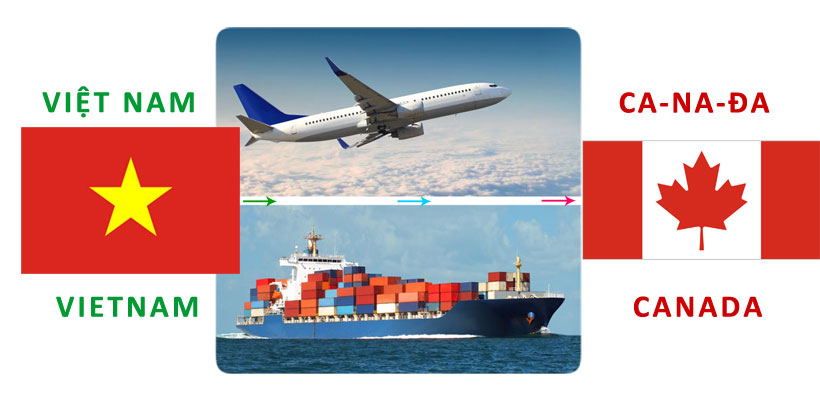 Gửi Quà Tết Từ Sân Bay Đà Nẵng Đi Canada Cùng Saigonairport – Nhanh, An Toàn, Giao Trước Tết