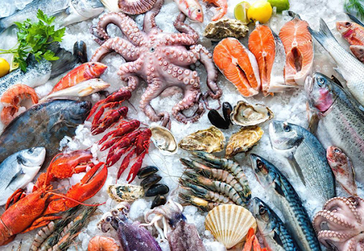 HƯỚNG DẪN GỬI HÀNG ĐÔNG LẠNH TỪ CÀ MAU ĐI HÀ NỘI CÙNG SÀI GÒN AIRPORT