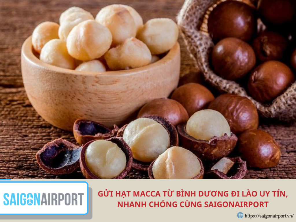 Gửi Hạt Macca Từ Bình Dương Đi Lào Uy Tín, Nhanh Chóng Cùng SaigonAirport