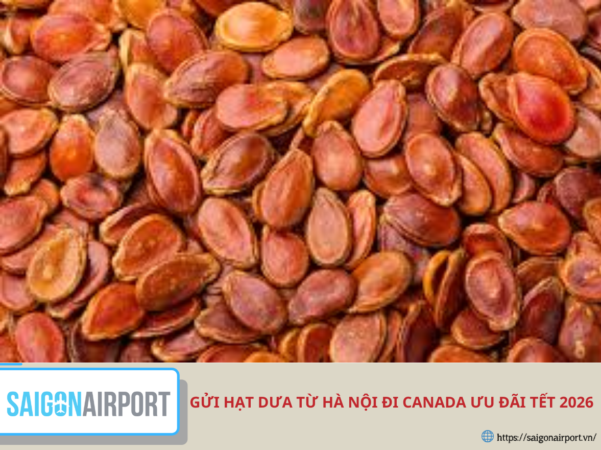 Gửi hạt dưa từ Hà Nội đi Canada ưu đãi Tết 2026