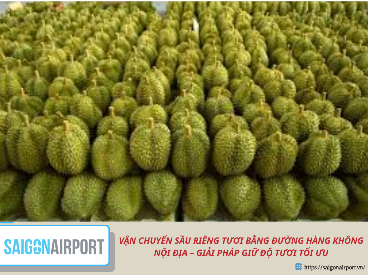 Vận chuyển sầu riêng tươi bằng đường hàng không nội địa – Giải pháp giữ độ tươi tối ưu