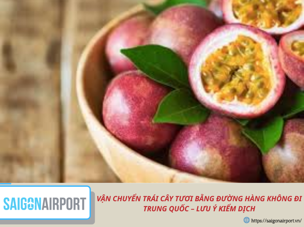 Vận chuyển trái cây tươi bằng đường hàng không đi Trung Quốc – Lưu ý kiểm dịch