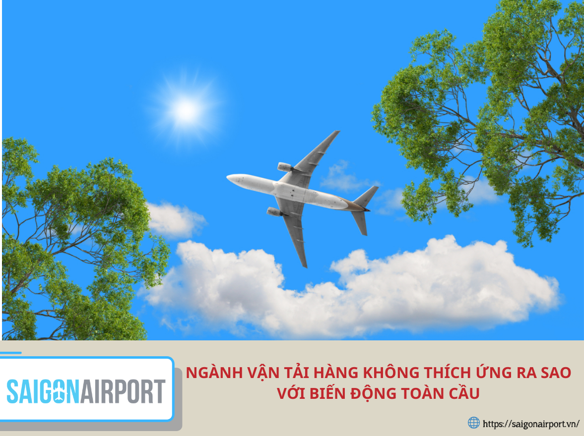 Ngành vận tải hàng không thích ứng ra sao với biến động toàn cầu