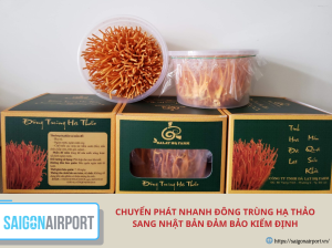 Chuyển phát nhanh đông trùng hạ thảo sang Nhật Bản đảm bảo kiểm định