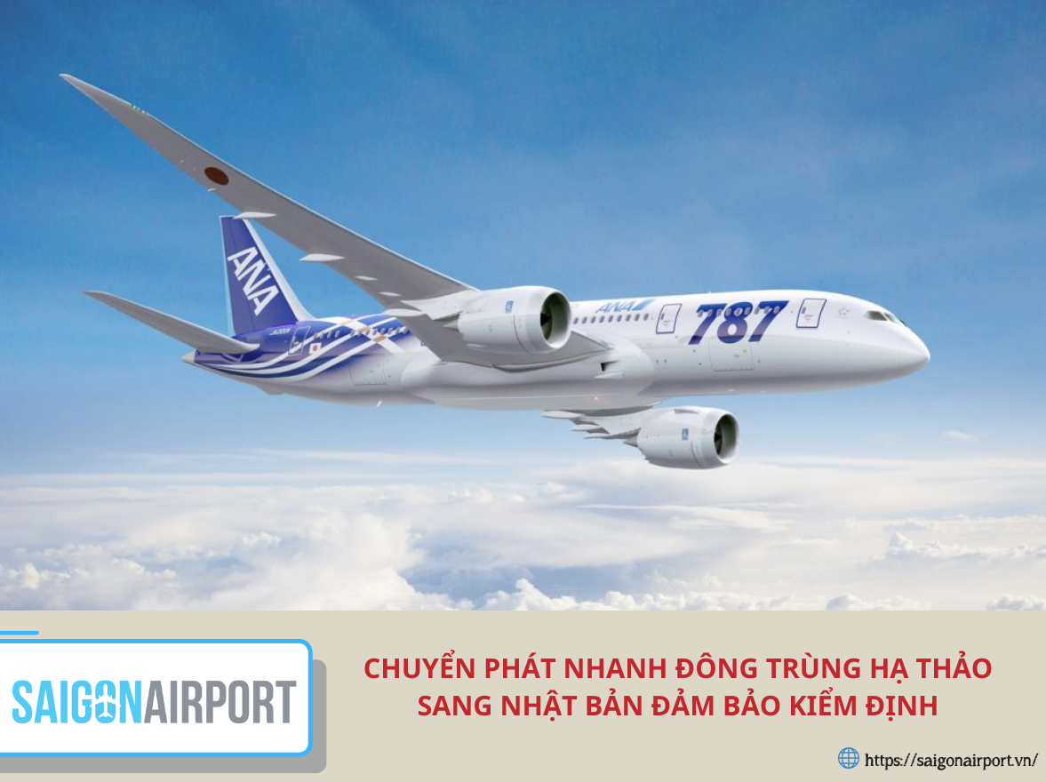 Chuyển phát nhanh đông trùng hạ thảo sang Nhật Bản đảm bảo kiểm định