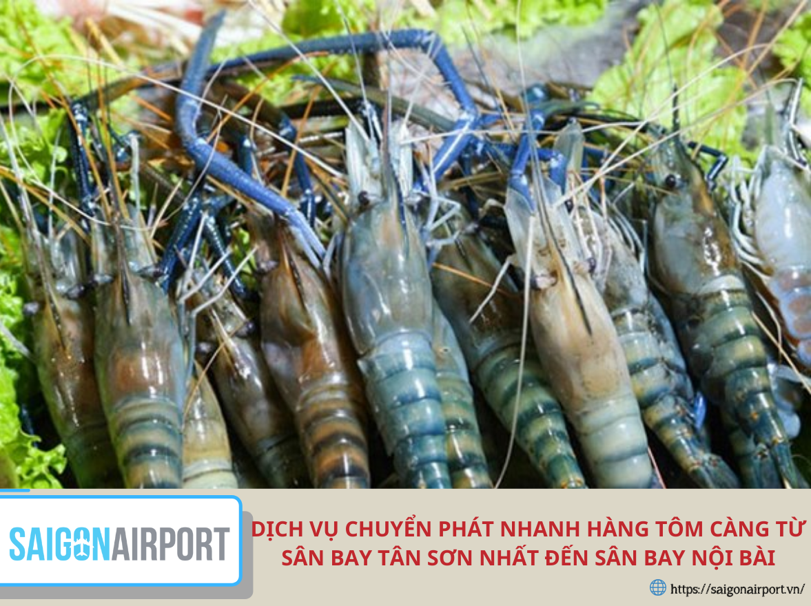 Dịch vụ chuyển phát nhanh hàng tôm càng từ sân bay tân sơn nhất đến sân bay nội bài