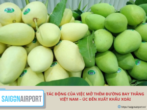 Tác động của việc mở thêm đường bay thẳng Việt Nam – Úc đến xuất khẩu xoài