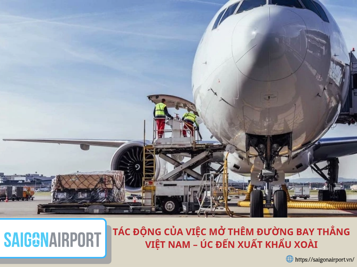 Tác động của việc mở thêm đường bay thẳng Việt Nam – Úc đến xuất khẩu xoài