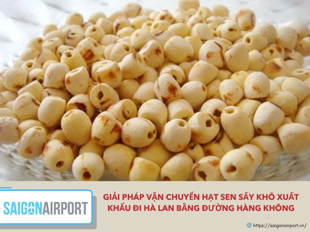 Giải pháp vận chuyển hạt sen sấy khô xuất khẩu đi Hà Lan bằng đường hàng không