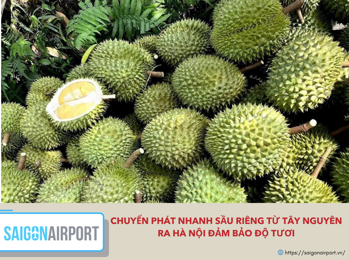 Chuyển phát nhanh sầu riêng từ Tây Nguyên ra Hà Nội đảm bảo độ tươi