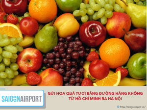 Gửi hoa quả tươi bằng đường hàng không từ Hồ Chí Minh ra Hà Nội