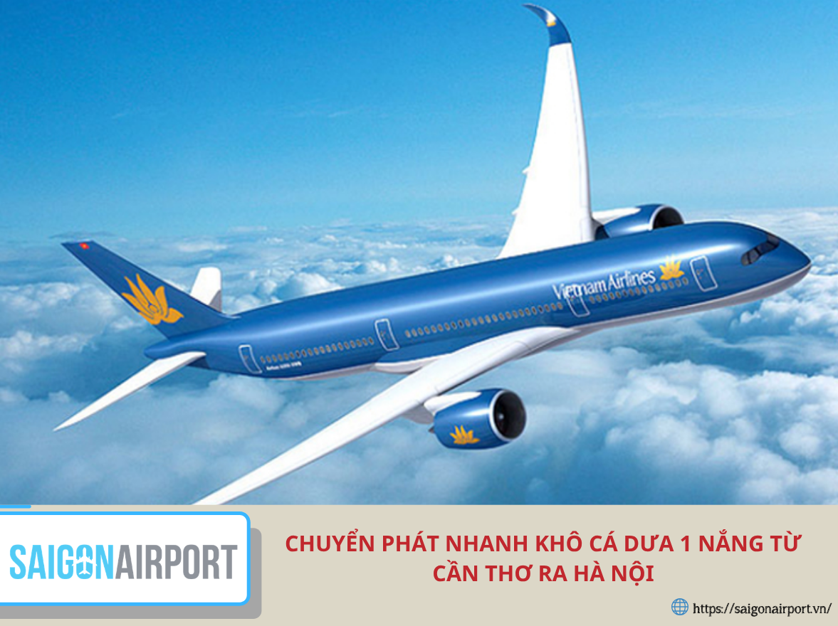 Chuyển phát nhanh khô cá dưa 1 nắng từ Cần Thơ ra Hà Nội