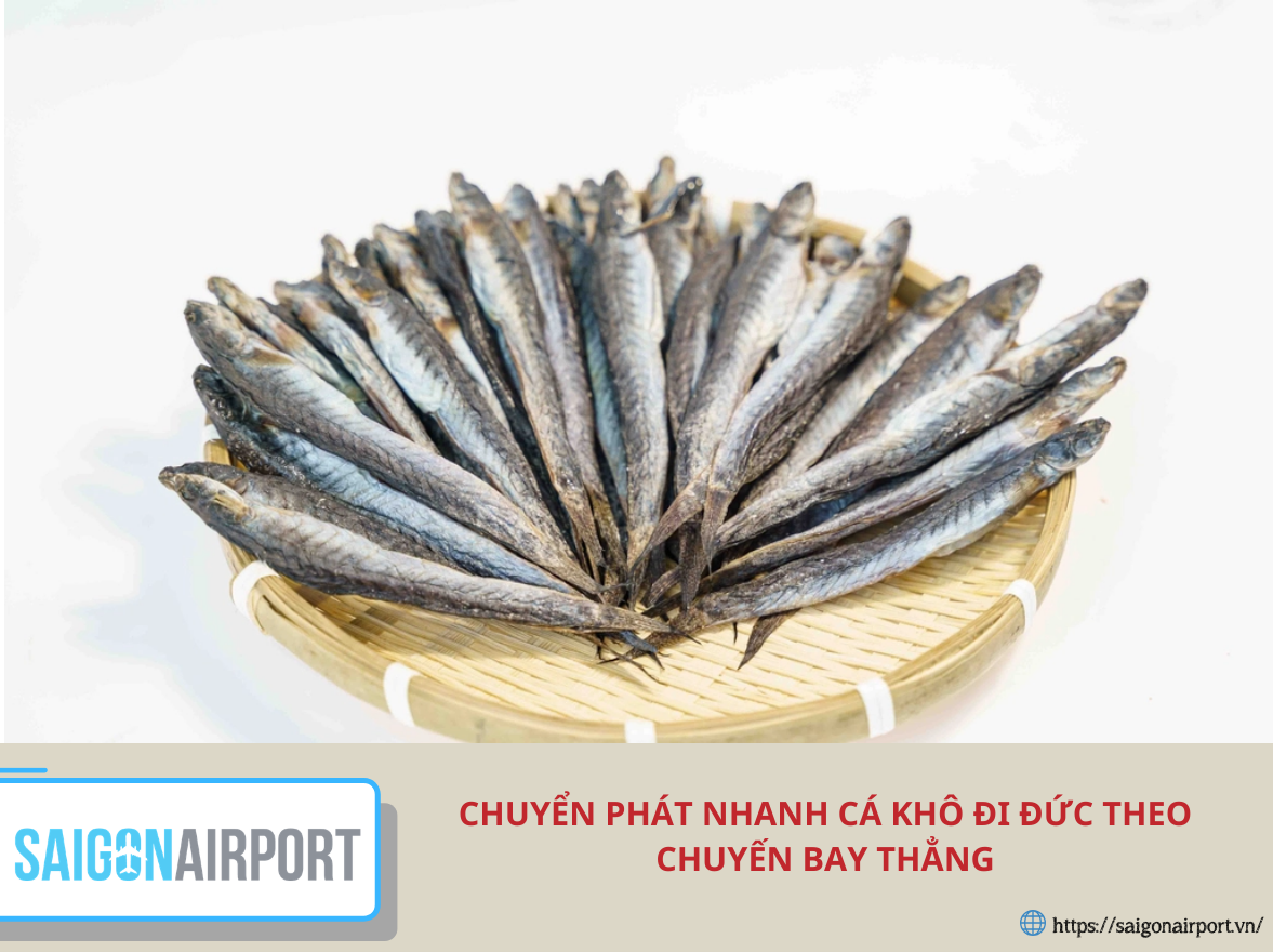 Chuyển phát nhanh cá khô đi Đức theo chuyến bay thẳng