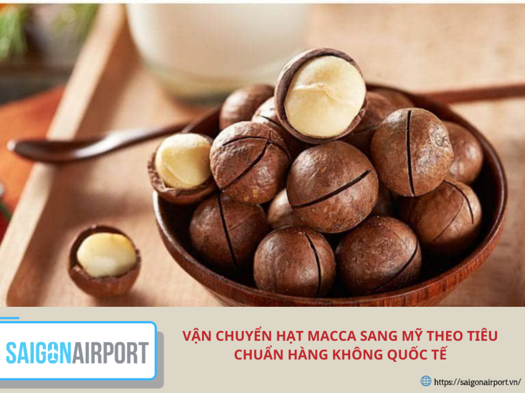 Vận chuyển hạt Macca sang Mỹ theo tiêu chuẩn hàng không quốc tế