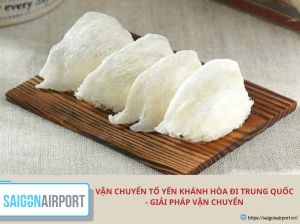 Vận chuyển tổ yến Khánh Hòa đi Trung Quốc - giải pháp vận chuyển