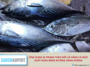 Ứng dụng AI trong theo dõi lô hàng cá ngừ xuất khẩu bằng đường hàng không
