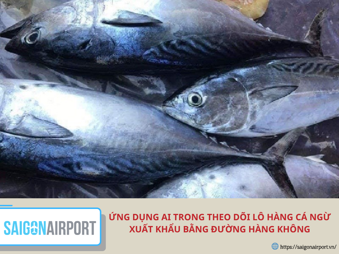 Ứng dụng AI trong theo dõi lô hàng cá ngừ xuất khẩu bằng đường hàng không