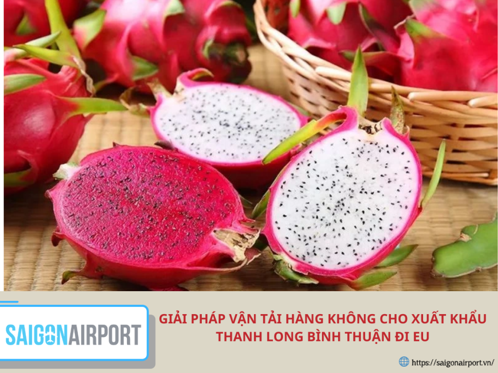 Giải pháp vận tải hàng không cho xuất khẩu thanh long Bình Thuận đi EU nhanh và an toàn