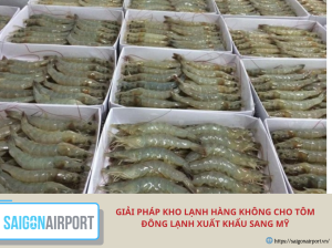 Giải pháp kho lạnh hàng không cho tôm đông lạnh xuất khẩu sang Mỹ hiệu quả