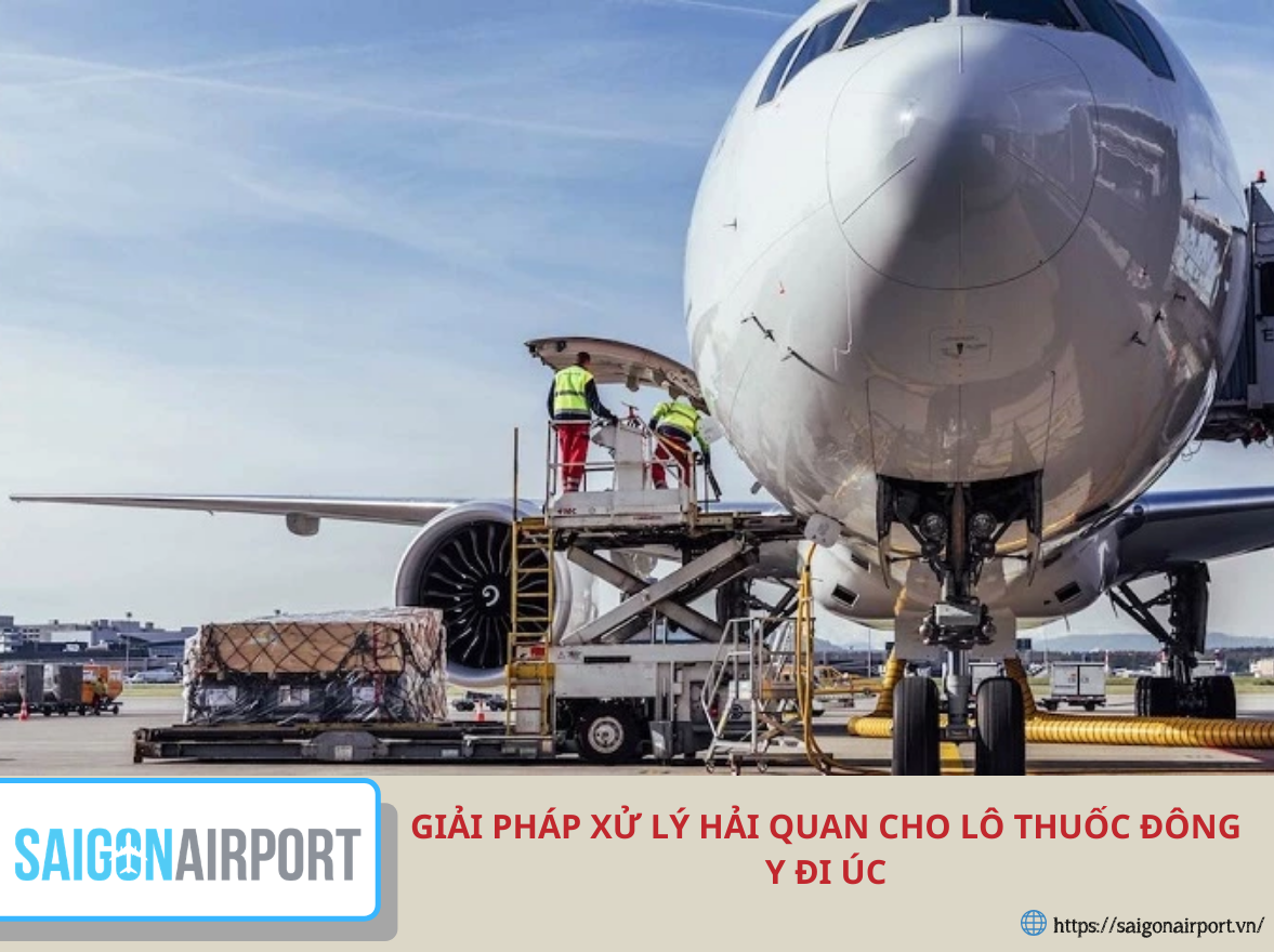 Giải pháp xử lý hải quan cho lô thuốc đông y đi Úc