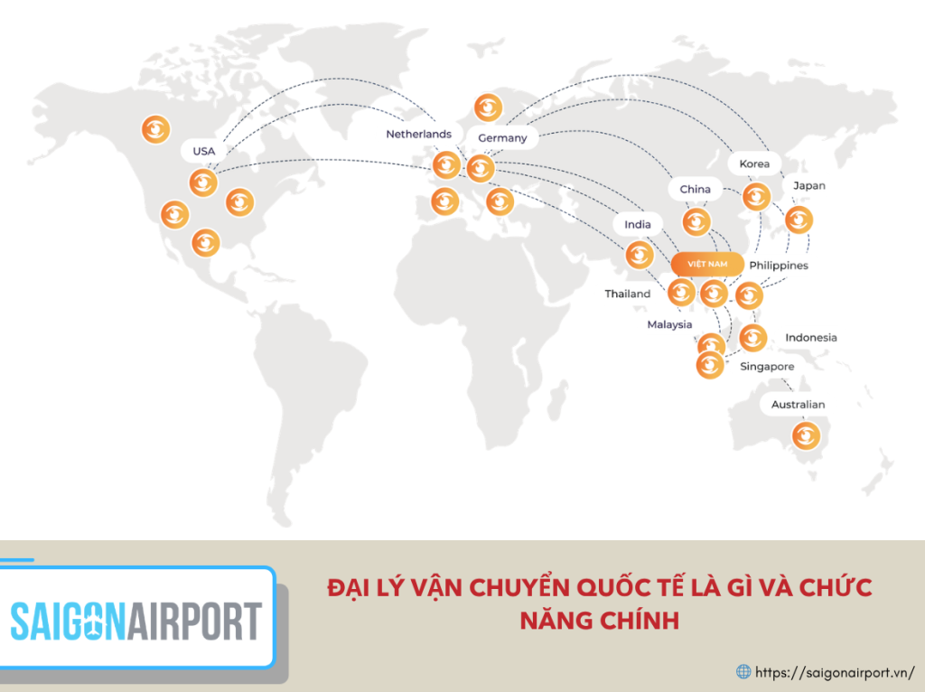 Đại lý vận chuyển quốc tế là gì và chức năng chính