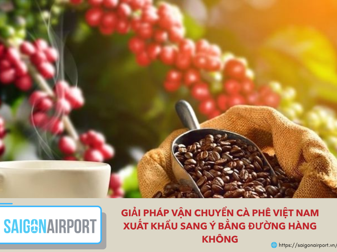 Giải Pháp Vận Chuyển Cà Phê Việt Nam Xuất Khẩu Sang Ý Bằng Đường Hàng Không