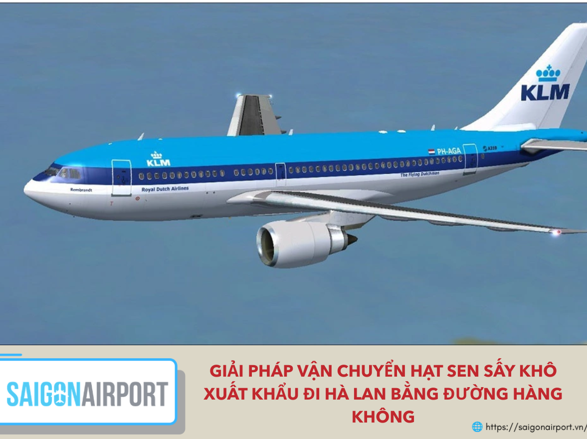 Giải pháp vận chuyển hạt sen sấy khô xuất khẩu đi Hà Lan bằng đường hàng không