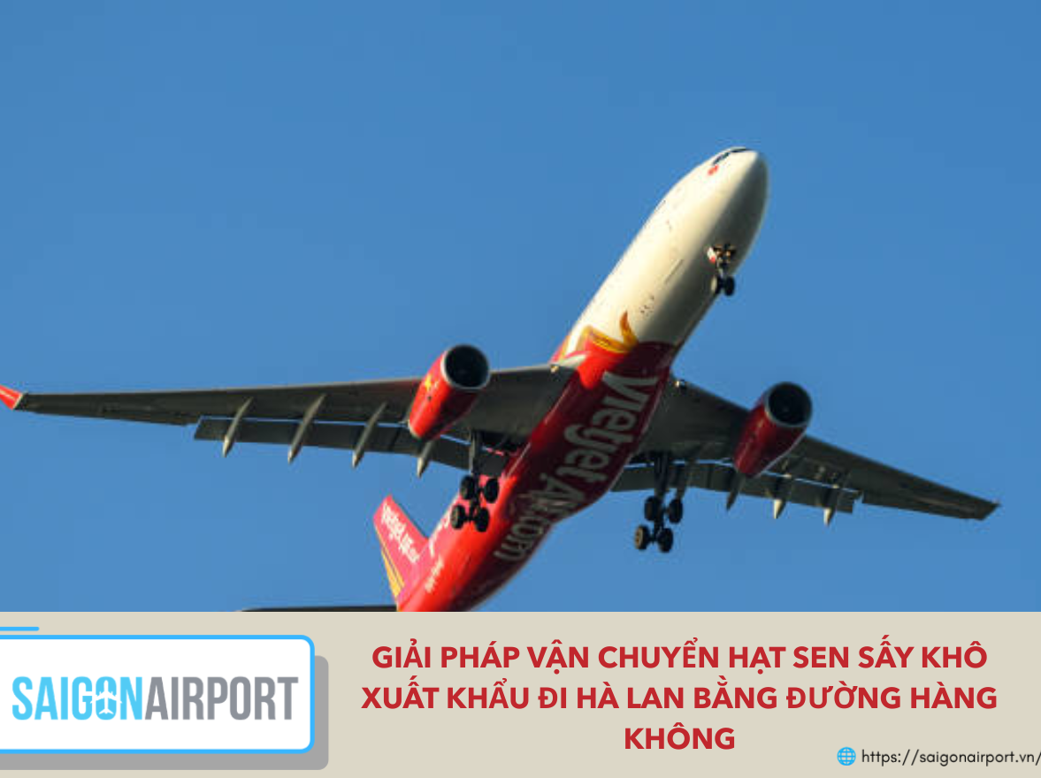 Giải Pháp Vận Chuyển Hạt Sen Sấy Khô Xuất Khẩu Đi Hà Lan Bằng Đường Hàng Không Giải Pháp Vận Chuyển Hạt Sen Sấy Khô Xuất Khẩu Đi Hà Lan Bằng Đường Hàng Không